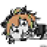 320x320