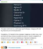 428x486