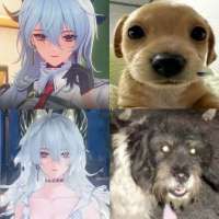 736x736