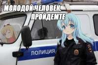 730x486