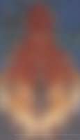 477x826