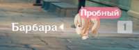 1123x407