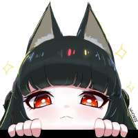 736x736