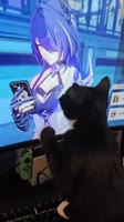 480x852