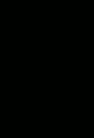 448x656