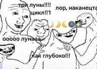 720x514