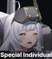 296x335