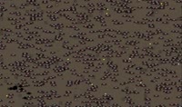 960x570