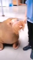 360x640