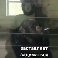 360x360