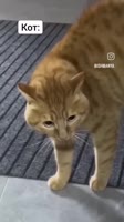 360x640