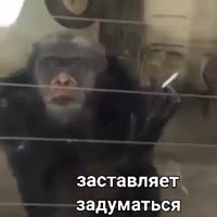 360x360