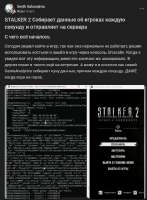 590x800