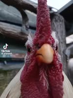480x640
