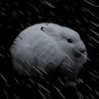 720x720