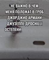 592x720