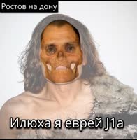 720x732