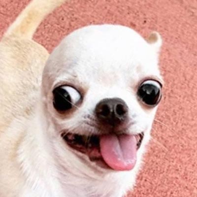 400x400