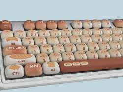570x428