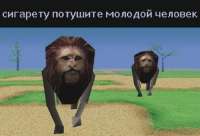 960x653