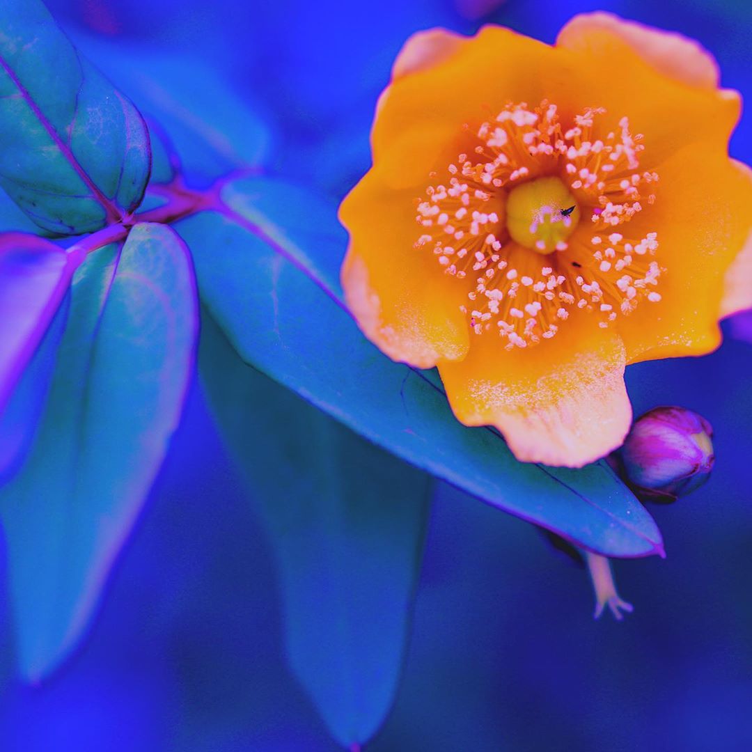 1080x1080