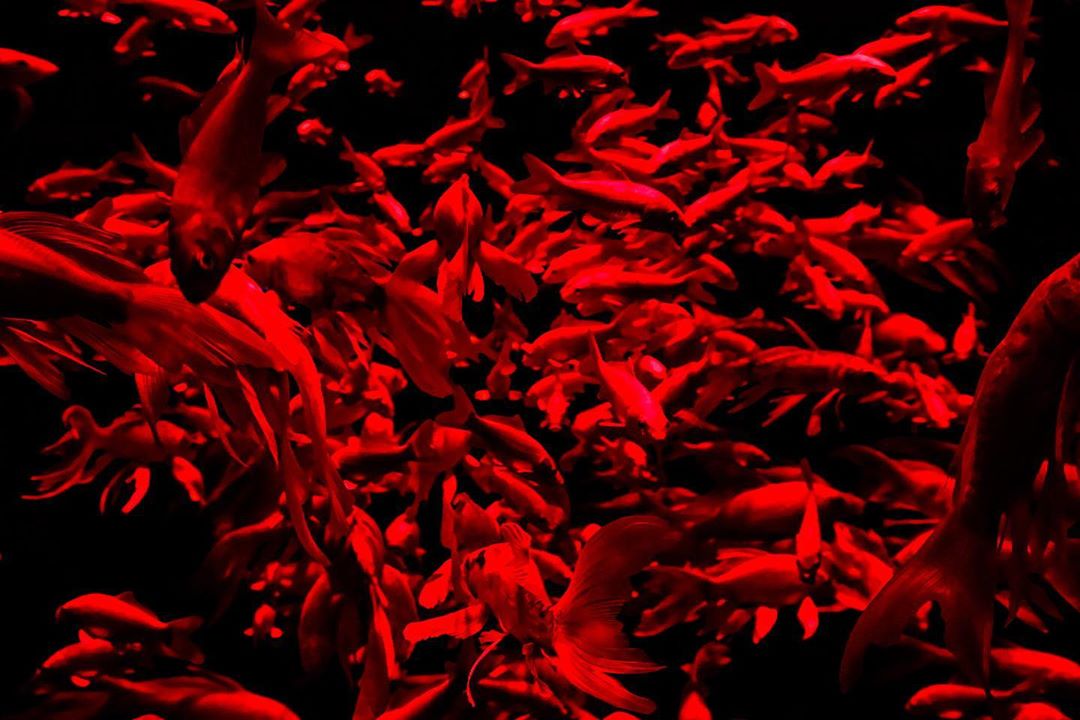 1080x720
