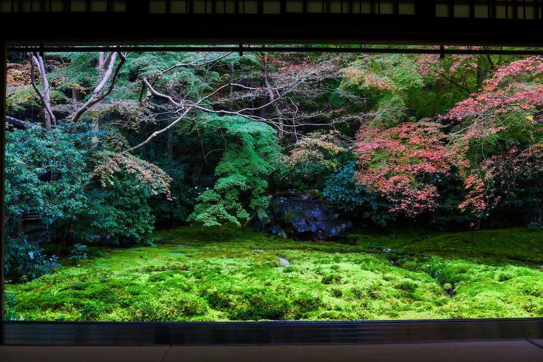 1080x720