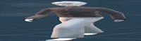 1200x357