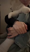 720x1226