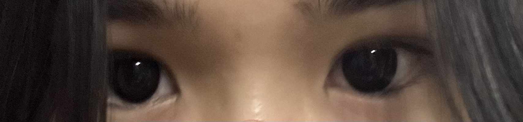 1709x399