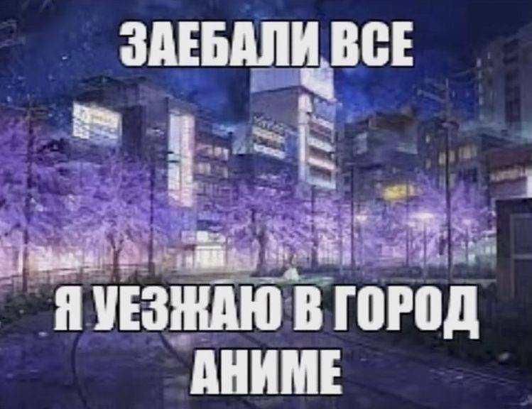 749x576
