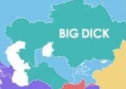 352x248