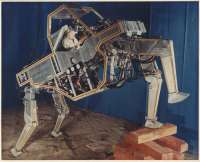 500x406