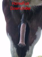 768x1024