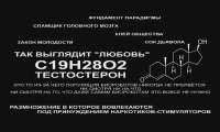 1117x672