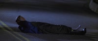 720x304