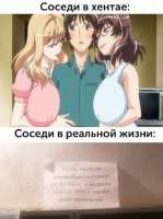 806x1079