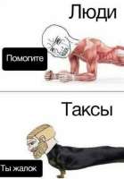 720x1032