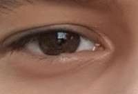 302x206