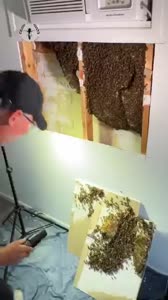 360x640
