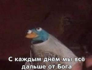 555x429