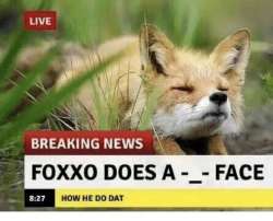 640x519