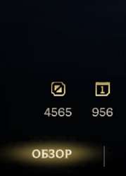 293x408