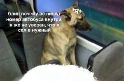 744x492