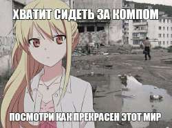 604x453