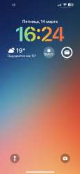 1284x2778
