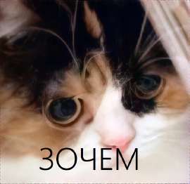 600x584