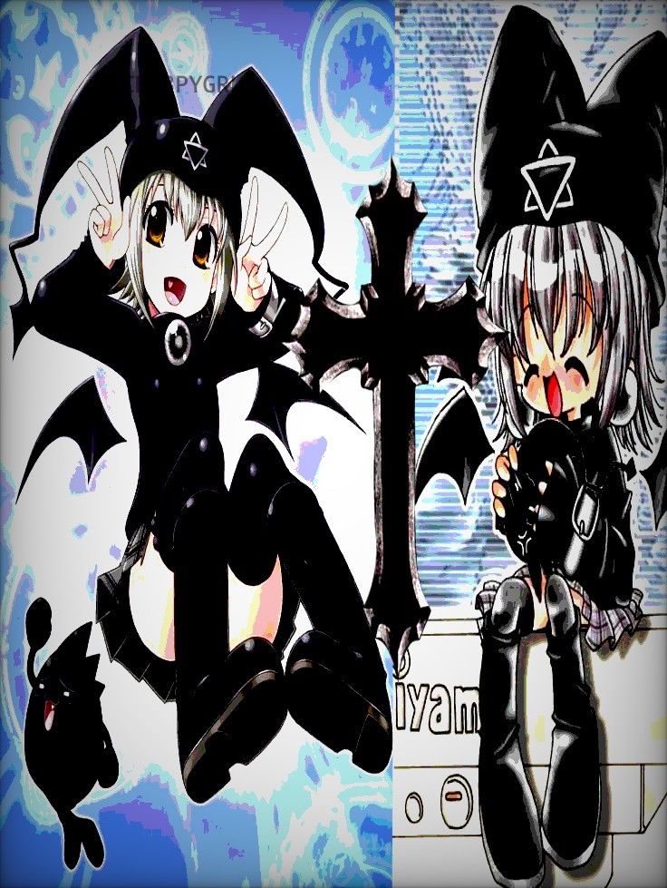 736x979