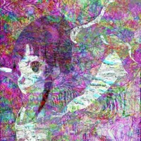 500x500