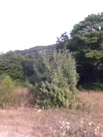 360x480